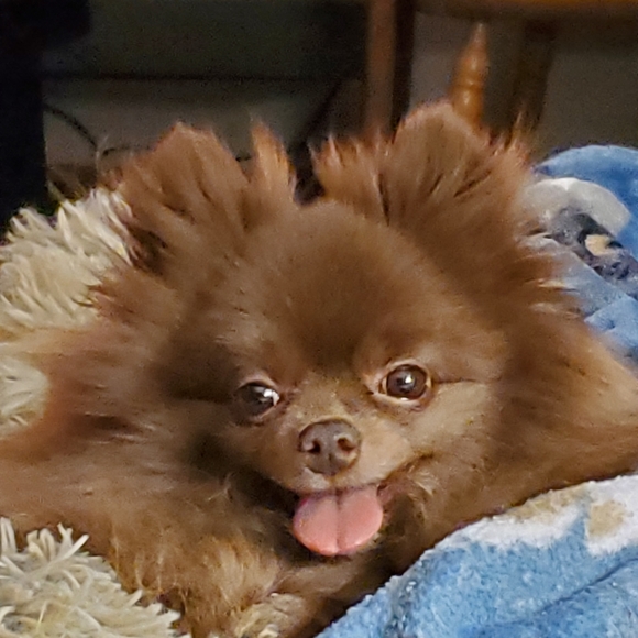 Some of my babies♡ - Picture 12 of 16